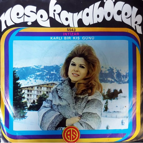 NEŞE KARABÖCEK İNTİZAR ~ KARLI BİR KIŞ GÜNÜ