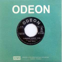 ALİYE AKKILIÇ TURNAMIN KANADI YEŞİL ~ BİZİM AYNA TAŞ AYNA