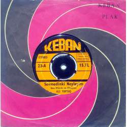 ALİ TOPTAŞ SEVMEDİN Kİ NEYLEYİM  DİLENCİ