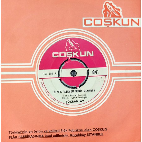 ŞÜKRAN AY ÖLMEK İSTEMEM SENİN OLMADAN ~ BANA HERKES GÜLEREK SEN DELİSİN DEDİLER (Gazelli)