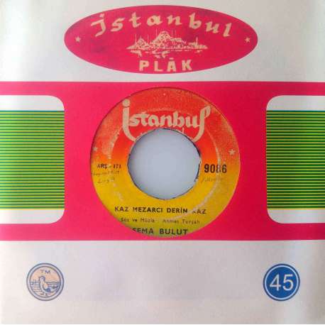 SEMA BULUT KAZ MEZARCI DERİN KAZ  SEVDADAN HABERSİZ (Gazelli)