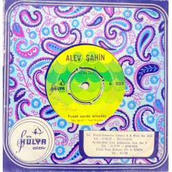 ALEV ŞAHİN FIRSAT SENDE ARKADAŞ  BEN KİMİM