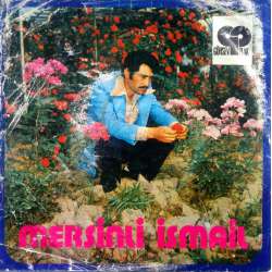 MERSİNLİ İSMAİL BACIM DEMEYE GELDİM  ELLERE GELİN OLDUN