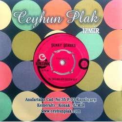 ŞENAY ŞENSES ŞU SAZIMA BİR DÜZEN VER  BİTMEZ TÜKENMEZ GECELER