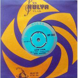 BEDİA AKARTÜRK KALEM TUTMAZ OLDU TUTAN ELLERİM  SENİ GİDİ UYANIK SENİ