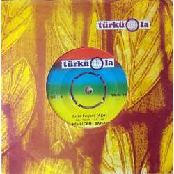 MİHRİCAN BAHAR EVLAT FERYADI  (Ağıt)  AĞLAYARAK DOĞDUM BEN ANAMDAN