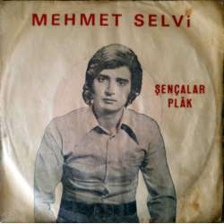 MEHMET SELVİ KADERE KÜSÜYORUM  GÖZLERİME BAK YETER