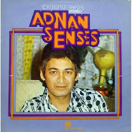 ADNAN ŞENSES ÇOK ÜZGÜNSÜN ARKADAŞ 1978 LP.