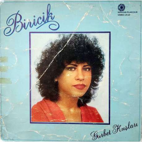 BİRİCİK GURBET KUŞLARI 1982 LP.