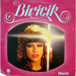 BİRİCİK HASRET 1988 LP.