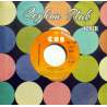BARBRA STREISAND WOMAN IN LOVE  RUN WILD