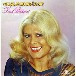 NEŞE KARABÖCEK DOST BAHÇESİ 1979 LP