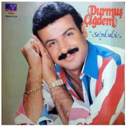 DURMUŞ ÇİĞDEM SEYDALİ 1986 LP.