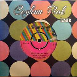 Aşık FEYZULLAH ÇINAR NEME ŞAD OLAYIM NEME GÜLEYİM  HALİNDEN BİİLMEYENE SIRRINI DEME