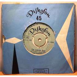 NEŞE KARABÖCEK ÇOK ÇEKTİRDİN BANA  BİR YETİMİN ŞARKISI  ( Diskofon Plak )