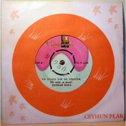 BAYRAM KOCA NE GELEN VAR NE GİDECEK ~ FELEK ÇATTI KAŞINI