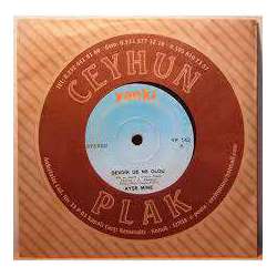 AYŞE MİNE SEVDİK DE NE OLDU  MUM