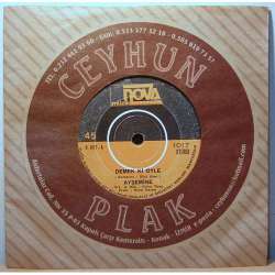 AYŞE MİNE DEMEK Kİ ÖYLE  SIKI FIKI