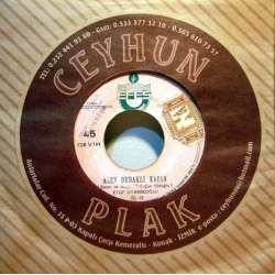 EYÜP UYANIKOĞLU ALEV DUDAKLI KADIN ~ MECNUN