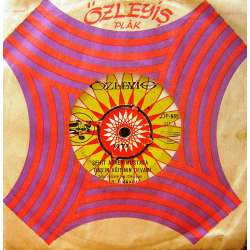 YAŞAR İLKBAHAR ŞEHİT ASKER MUSTAFA BAŞIN AĞITININ DEVAMI  ELLER GİBİ EREMEDİM MURADA