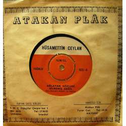 HÜSAMETTİN CEYLAN SEVİYORUM AYRILAMAM  AĞLAYAN GÖZLERİ SİLMEMİŞ DEĞİL