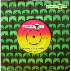 NEŞET ERTAŞ SANKİ SAM YELİSİN ESTİN BAĞIMA GÜZELE BAKMASI SEVAPTIR