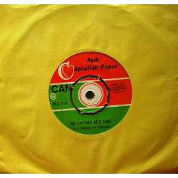 Aşık APTULLAH PAPUR NE YAPTINIZ BİZE - HANİ DEDİM KURBAN OLAM NEDEN AĞLARSIN