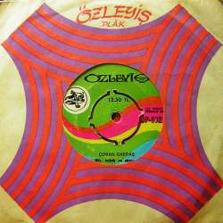 RIZA ARSLANDOĞAN ÇOBAN GARDAŞ BAHÇENİZDE BİR TAŞ ATTIM VİŞNEYE