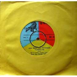 Aşık HASAN TURAN ANA BENİ YOL ÜSTÜNDE VURDULAR (Ağıt) SEVDİĞİMİ ALAN DÜNYA AH AH