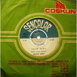 BEHİYE AKSOY SEVMİYORUM SENİ ARTIK  YALAN DEĞİL