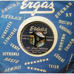 GÜNERİ TECER GÜL AĞACI DEĞİLEM  NİÇİN ALLAHIM NİÇİN