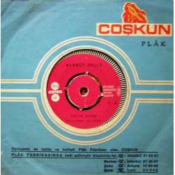 MEHMET GÜÇLÜ YIRTIK RESİM  SENSİZ NASIL YAŞARIM