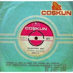 ŞÜKRAN AY ÖZLEMEDİN Mİ BENİ ~ KIRDIN BENİ SÖZLERİNLE