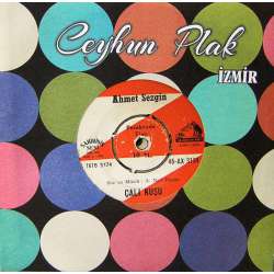 AHMET SEZGİN DERYADA BİR SALIM YOK ~ ÇALI KUŞU