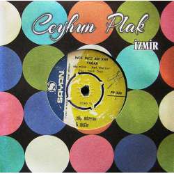 EDİP AKBAYRAM İNCE İNCE BİR KAR YAĞAR  DAĞLAR DAĞLADI BENİ