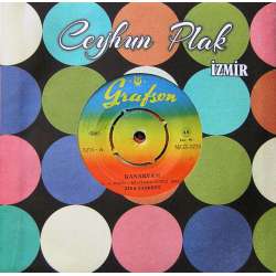 ZİYA TAŞKENT KANARYAM  GÜNDÜZÜM SENİNLE