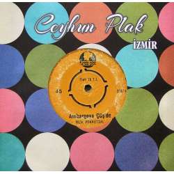 RIZA PEKKUTSAL AMBARGOYA ÇÜŞ DE  DÜNYA HABERLERİ KOMİK PLAK 