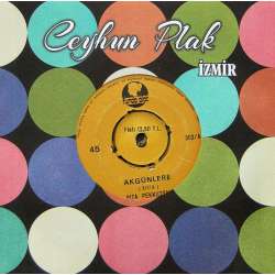 RIZA PEKKUTSAL AK GÜNLERE  İLAHİ NECMETTİN KOMİK PLAK