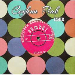 ŞEN BAHRİYELİLER DİLEKLER  MİNİ MAKSİ KOMİK PLAK