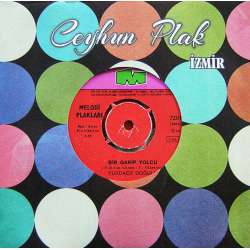 YURDAER DOĞULU BİR GARİP YOLCU  AGORA MEYHANESİ