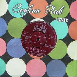 LES CHATS SAUVAGES ESTCE QUE TU LE SAIS  OH BOY