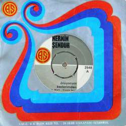 NERMİN ŞENDUR ÖLÜYORUM KEDERİMDEN SEVENLER ACISIN