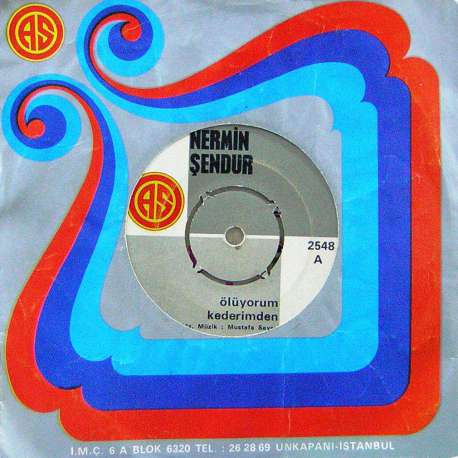 NERMİN ŞENDUR ÖLÜYORUM KEDERİMDEN SEVENLER ACISIN