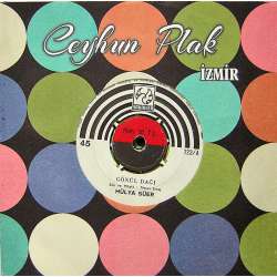 HÜLYA SÜER GÖNÜL DAĞI  DANE DANE BENLERİ