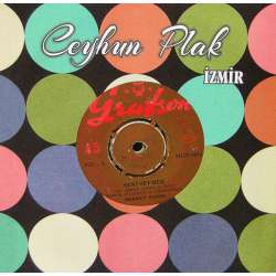 MEHMET TANERİ SENİ SEVMEK  BEN SEVİLMEYİ BİLMEZDİM