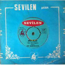 ŞEN BAHRİYELİLER ANAYASSO  ŞOFÖRLERİN KADERİ KOMİK PLAK 