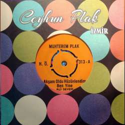 ALİ SEVEN AKŞAM OLDU HÜZÜNLENDİM BEN YİNE  ÇOK GECELER BEKLEDİM