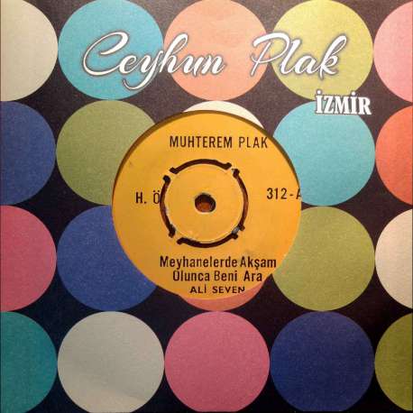 ALİ SEVEN MEYHANELERDE AKŞAM OLUNCA BENİ ARA  KANARYAM GÜZEL KUŞUM