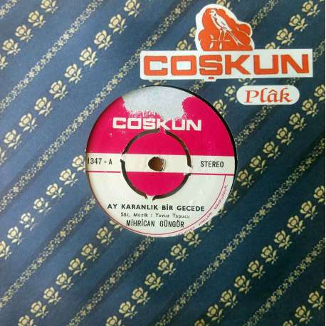 MİHRİCAN GÜNGÖR AY KARANLIK BİR GECEDE  SABREDEN DERVİŞ