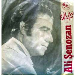 ALİ ŞENOZAN SAAT OLDU 715 NERDESİN  SENSİZ KALAN GÖNLÜMDE